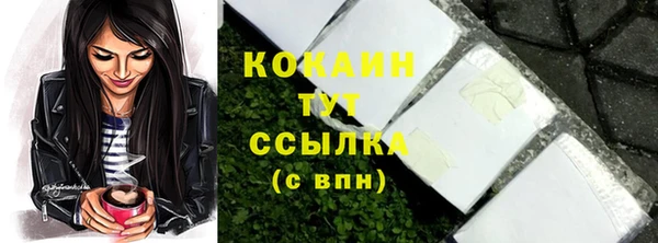 спайс Богданович