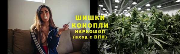 спайс Богданович