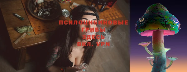 спайс Богданович