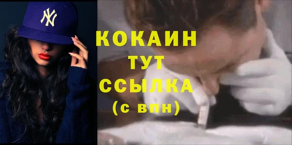 спайс Богданович