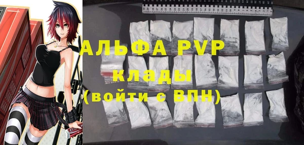 спайс Богданович