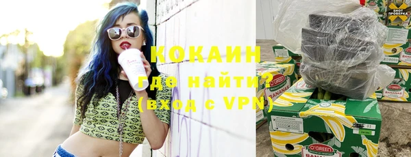 спайс Богданович