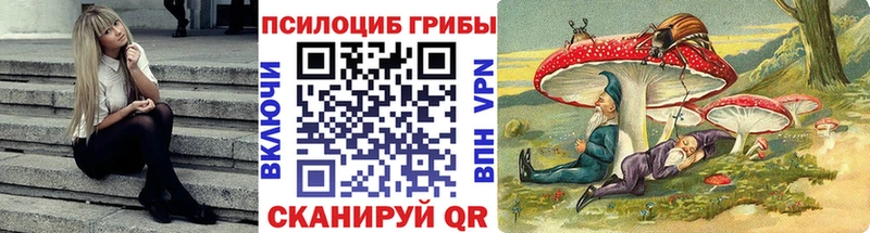 купить наркотики сайты  Хотьково  Галлюциногенные грибы Psilocybine cubensis 